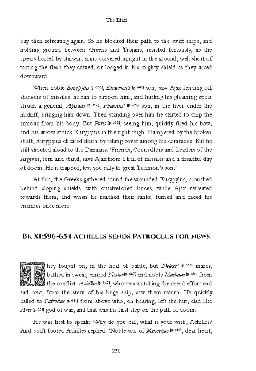 The Iliad - Page 224